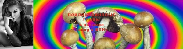 каннабис Алексеевка