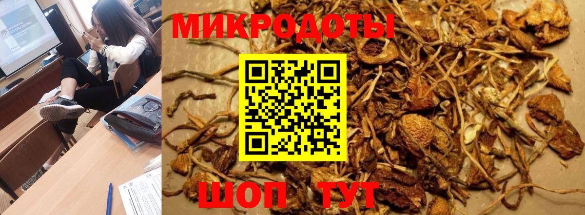 Псилоцибиновые грибы прущие грибы Луга
