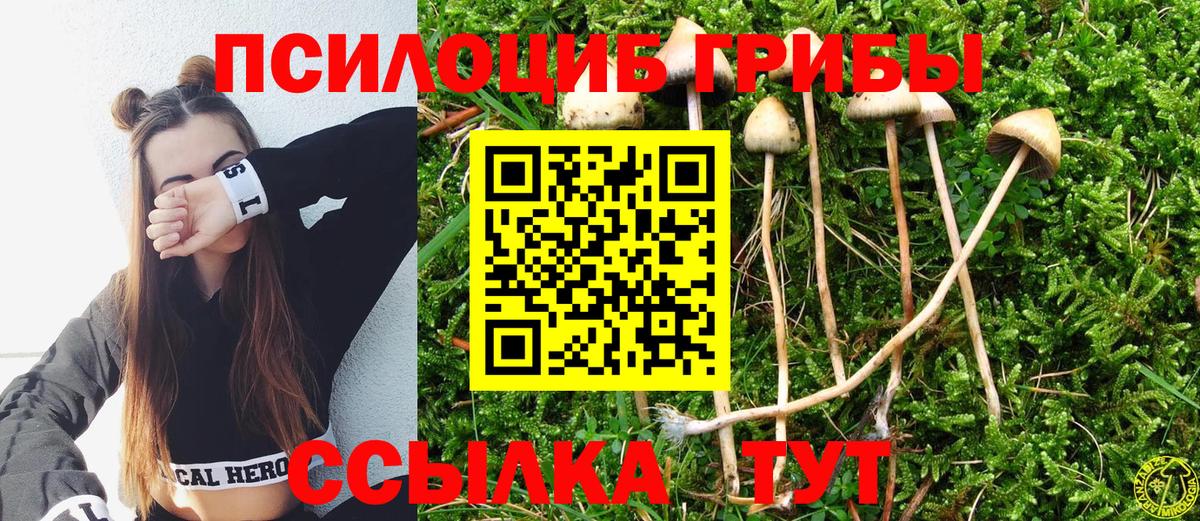 Галлюциногенные грибы Psilocybine cubensis  Вход с VPN  Луга 